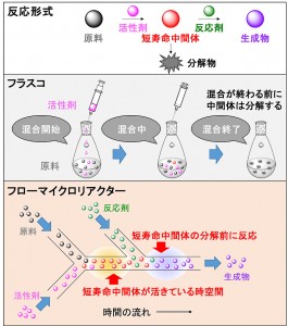 マイクロ空間で発生した短寿命中間体を活用した精密合成戦略(出所:京都大学)