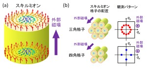 スキルミオンおよびスキルミオン格子の模式図(出所:理研)